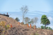 Comlurb employees clearing the forest after fire - Garota de Ipanema Park - Rio de Janeiro city - Rio de Janeiro state (RJ) - Brazil