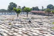 Tombs of the Israelite Communal Cemetery of Rio de Janeiro, also called the Caju Israelite Cemetery - Rio de Janeiro city - Rio de Janeiro state (RJ) - Brazil