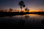 River at sunset - Encontro da Aguas State Park - Pocone city - Mato Grosso state (MT) - Brazil