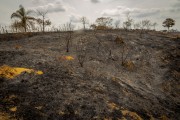 Burned area by illegal fire in rural area of Guarani - Guarani city - Minas Gerais state (MG) - Brazil