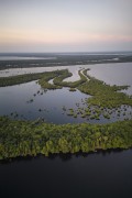 Picture taken with drone of the Anavilhanas National Park  - Manaus city - Amazonas state (AM) - Brazil