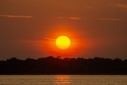 Sunrise on the Negro River - Anavilhanas National Park - Manaus city - Amazonas state (AM) - Brazil