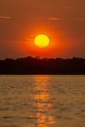 Sunrise on the Negro River - Anavilhanas National Park - Manaus city - Amazonas state (AM) - Brazil