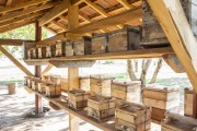 Meliponary - Bee colonies in boxes - Caiman Refuge - Miranda city - Mato Grosso do Sul state (MS) - Brazil