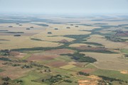 Aerial view of agricultural fields and plantations near Ponta Pora - Ponta Pora city - Mato Grosso do Sul state (MS) - Brazil