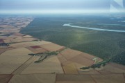 Aerial view of agricultural area with plantations and the Iguaçu River with preserved forest area - Foz do Iguacu city - Parana state (PR) - Brazil