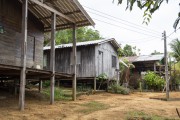 Stilt houses on the banks of Negro River - Anavilhanas National Park - Novo Airao city - Amazonas state (AM) - Brazil