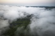 Picture taken with drone of the Amazon rainforest under clouds - Anavilhanas National Park  - Manaus city - Amazonas state (AM) - Brazil