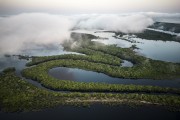 Picture taken with drone of the Amazon rainforest under clouds - Anavilhanas National Park  - Manaus city - Amazonas state (AM) - Brazil