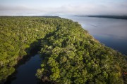 Picture taken with drone of the Amazon rainforest - Anavilhanas National Park  - Manaus city - Amazonas state (AM) - Brazil