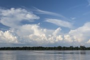 View of Negro River and Amazon rainforest - Anavilhanas National Park  - Manaus city - Amazonas state (AM) - Brazil