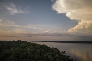 Picture taken with drone of the Negro River and Amazon rainforest - Anavilhanas National Park  - Manaus city - Amazonas state (AM) - Brazil