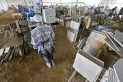 Workers cleaning and polishing Pedra Cariri in a processing shed - Santana do Cariri city - Ceara state (CE) - Brazil