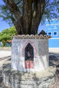 Ecological precepts by Padre Cicero inscribed on a tree trunk - Horto Hill - Juazeiro do Norte city - Ceara state (CE) - Brazil