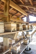 Meliponary - Bee colonies in boxes - Caiman Refuge - Miranda city - Mato Grosso do Sul state (MS) - Brazil