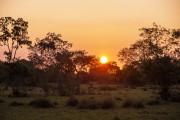 Pantanal landscape view at sunset - Caiman Refuge - Miranda city - Mato Grosso do Sul state (MS) - Brazil