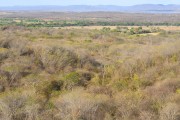 Landscape with dry caatinga vegetation in the dry season - Brejo Santo city - Ceara state (CE) - Brazil