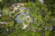 Picture taken with drone of the Americo Renne Giannetti Municipal Park (1897)  - Belo Horizonte city - Minas Gerais state (MG) - Brazil