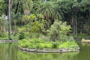 Lake on Americo Renne Giannetti Municipal Park (1897)  - Belo Horizonte city - Minas Gerais state (MG) - Brazil