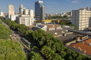 Panoramic view of Parana Avenue with its row of trees - Belo Horizonte city - Minas Gerais state (MG) - Brazil