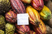 Cocoa from Bahia for sale at the Belo Horizonte Central Market (1929)  - Belo Horizonte city - Minas Gerais state (MG) - Brazil