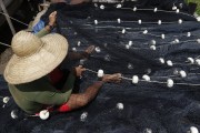 Fisherman with gillnets in the port of Vila Gutierrez - Careiro da Varzea city - Amazonas state (AM) - Brazil