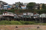 Houses on Stilts - Manaus city - Amazonas state (AM) - Brazil