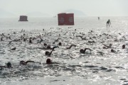 Queen of the Sea swimming competition
 - Rio de Janeiro city - Rio de Janeiro state (RJ) - Brazil