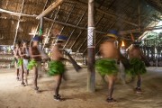 Traditional indigenous dance in the Tatuyo village on the Negro River - Manaus city - Amazonas state (AM) - Brazil