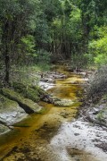 View of small stream in the Amazon rainforest - Manaus city - Amazonas state (AM) - Brazil