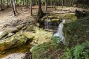 View of small stream in the Amazon rainforest - Manaus city - Amazonas state (AM) - Brazil