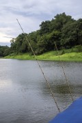 Fishing rods for piranha in the river in the Amazon rainforest - Manaus city - Amazonas state (AM) - Brazil