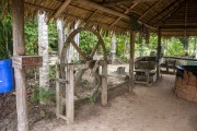 Place for artisanal processing of cassava flour - Tupe Sustainable Development Reserve - Manaus city - Amazonas state (AM) - Brazil