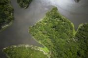 Picture taken with drone of Amazon rainforest - Tupe Sustainable Development Reserve - Manaus city - Amazonas state (AM) - Brazil