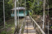 House on stilts in a floodplain in the Amazon rainforest - Manaus city - Amazonas state (AM) - Brazil