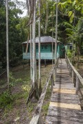 House on stilts in a floodplain in the Amazon rainforest - Manaus city - Amazonas state (AM) - Brazil