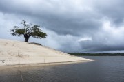 Detail of river and cloudy sky in the Amazon Rainforest - Manaus city - Amazonas state (AM) - Brazil