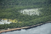 Aerial view of Amazon rainforest - Manaus city - Amazonas state (AM) - Brazil