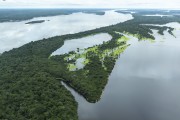 Aerial view of Amazon rainforest - Manaus city - Amazonas state (AM) - Brazil