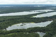 Aerial view of Amazon rainforest - Manaus city - Amazonas state (AM) - Brazil