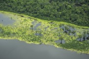 Aerial view of Amazon rainforest - Manaus city - Amazonas state (AM) - Brazil