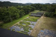 Picture taken with drone of the nursery seed - Guapiacu Ecological Reserve  - Cachoeiras de Macacu city - Rio de Janeiro state (RJ) - Brazil