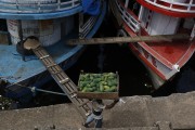Worker at the Port of Modern Manaus carrying a box of papaya - Manaus city - Amazonas state (AM) - Brazil