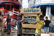 Workers at the Port of Modern Manaus carrying a box of papaya - Manaus city - Amazonas state (AM) - Brazil