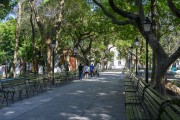 Martires Square also known as Passeio Publico - the oldest square in the city - Fortaleza city - Ceara state (CE) - Brazil
