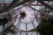 Interior of the greenhouse of Botanic Garden  - Curitiba city - Parana state (PR) - Brazil