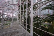 Interior of the greenhouse of Botanic Garden  - Curitiba city - Parana state (PR) - Brazil