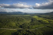 Picture taken with drone of the Landscape view of the Atlantic Forest near Salto Morato - Guaraquecaba city - Parana state (PR) - Brazil