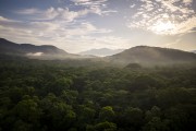 View of the Atlantic Forest near Salto Morato - Guaraquecaba city - Parana state (PR) - Brazil