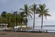 Palm trees on the edge of the Guaraqueçaba village - Guaraquecaba city - Parana state (PR) - Brazil